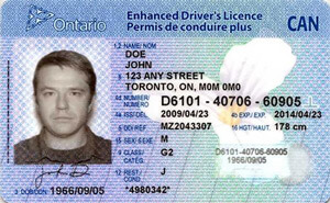 Ontario driver's license