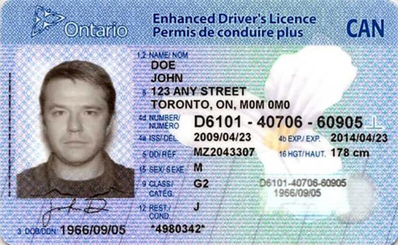 Ontario Driver's Licence